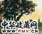 罗勇来 夕阳