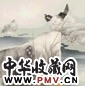 米春茂 猫蛙图 镜心 设色纸本