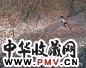 邵增虎 宁静的河岸 布面油画