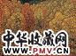 邵增虎 金色的山谷 布面