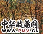 邵增虎 风景 布面油画
