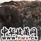 万鼎 抒怀老县城 镜心 设色纸本