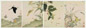 汪承沛 草虫 册页(12开选4)