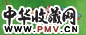 王玉平 鱼系列