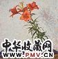 王征骅 萱草 布面 油彩