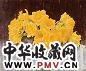 王征骅 寂静的黄花 布面 油彩