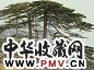 王征骅 雨后山道
