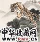 姚少华 虎威图 镜心 设色纸本