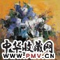 张和平 花卉