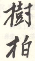 《树柏》之二