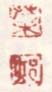 《叶》《村》