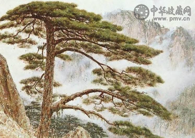 王征骅 迎客松