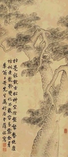薛怀 虬松图 立轴 水墨纸本