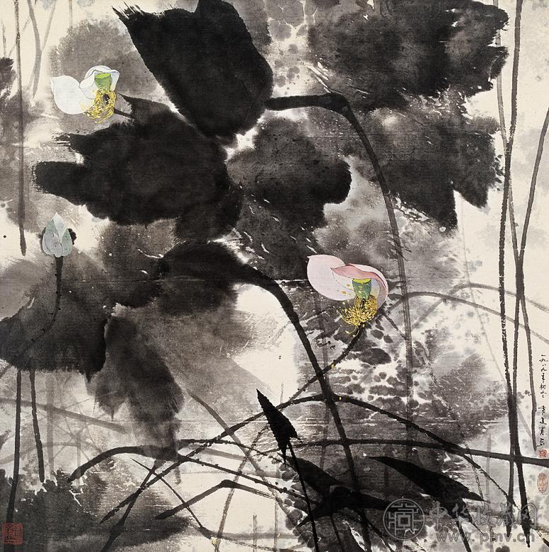 袁运甫 荷 镜心 设色纸本