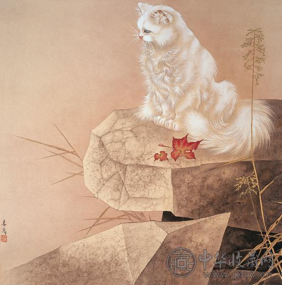 米春茂 猫 镜心 设色纸本