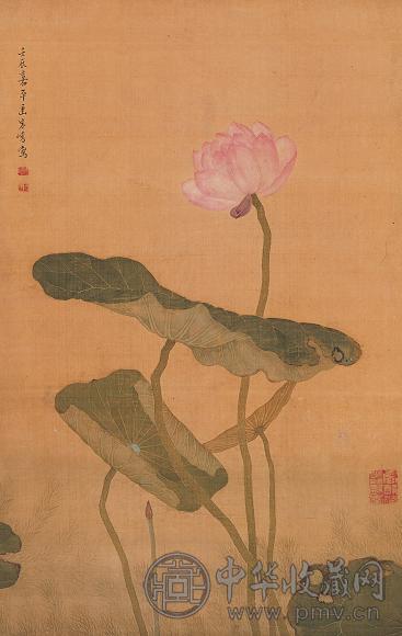 朱峤 荷花 立轴 设色绢本