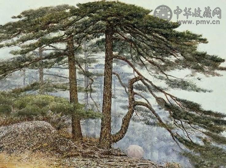 王征骅 雨后山道