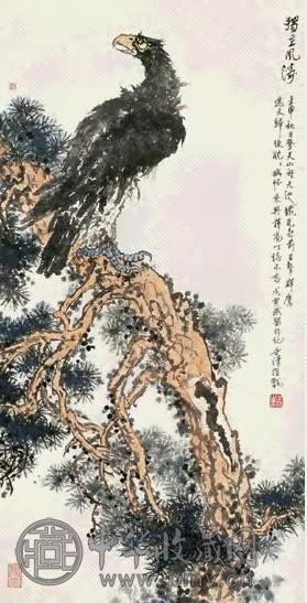 洪世清 松鹰 立轴 设色纸本