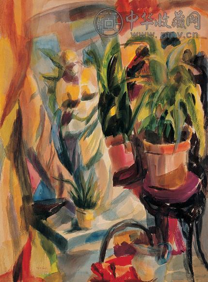 朱沅芷 花卉 纸面 水彩