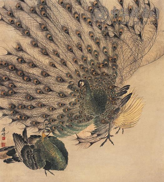 胡藻斌 孔雀 立轴 设色纸本