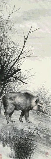 苏楚白 猪 立轴 纸本设色