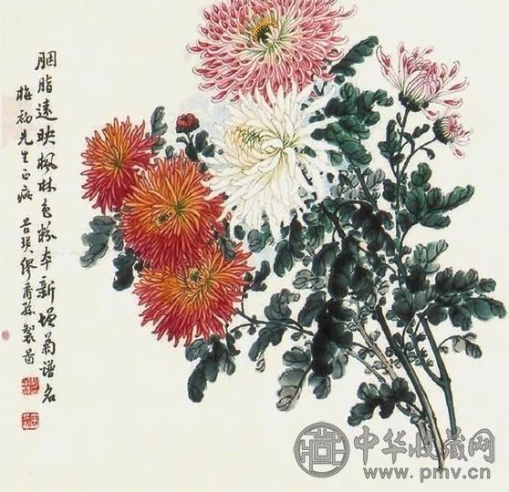 缪谷瑛 菊花 镜心 纸本
