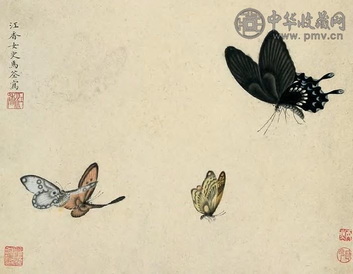 马荃 蝶 册页(8开选1)