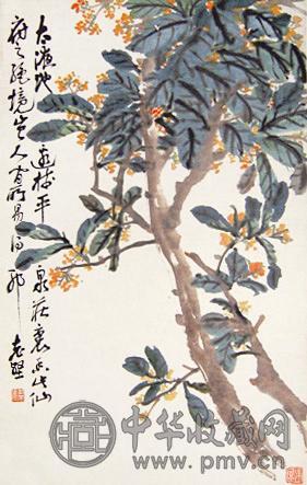 赵云壑 桂花