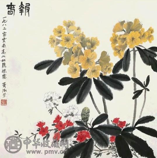 萧淑芳 1982年作 报春 镜心 设色纸本