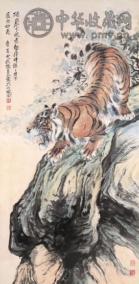 张善孖 虎 镜心 纸本