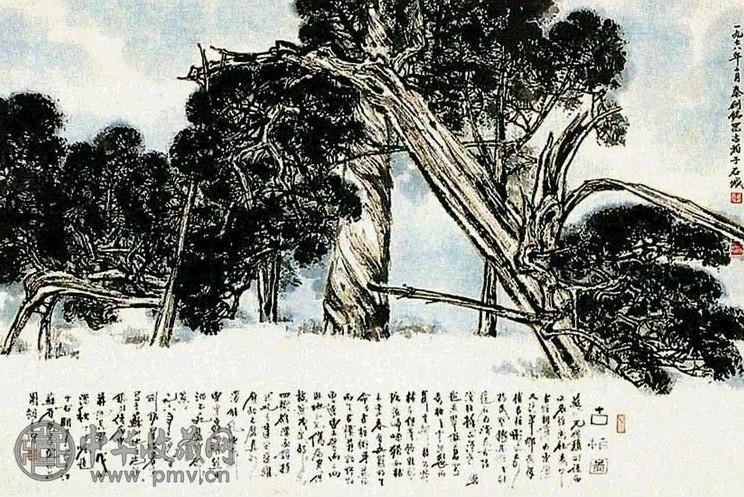 秦剑铭 古柏 轴 纸本设色