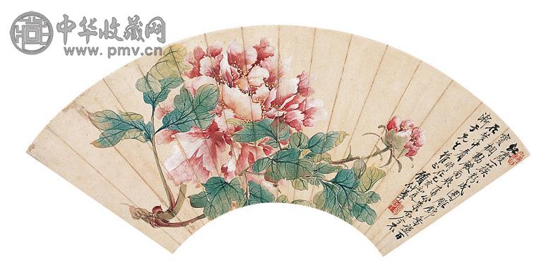 顾仲华 花卉 镜心