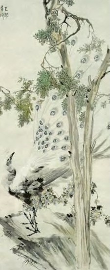 张书旂 孔雀 轴