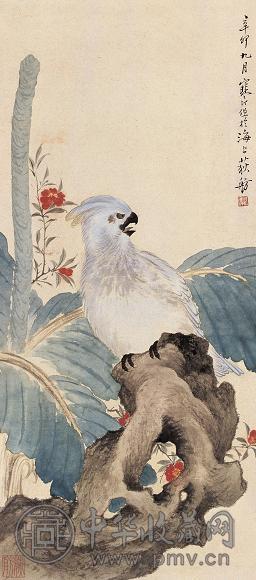 江寒汀 1951年作 鹦鹉 立轴 设色纸本