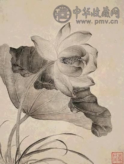 蒋廷锡 花卉 册页(8开)