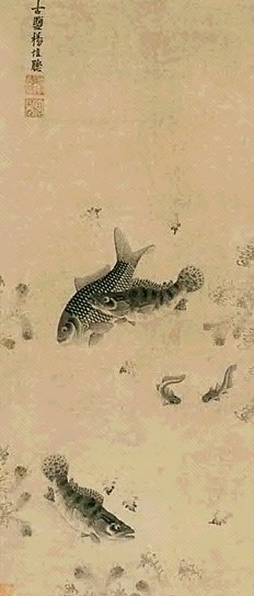 杨维聪 鱼藻图 立轴 水墨纸本
