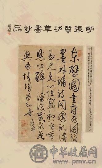 张赞功 草书 立轴 纸本