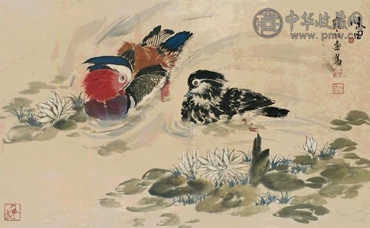 江寒汀 鸯鸳 镜心 设色纸本