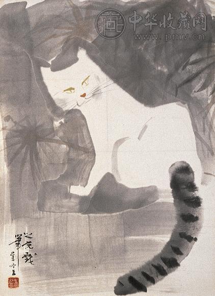 杨之光 猫 镜心