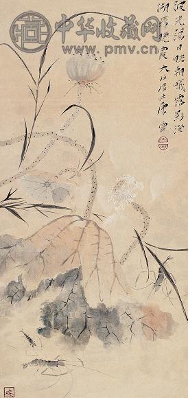 唐云 现代 荷韵 立轴 设色纸本