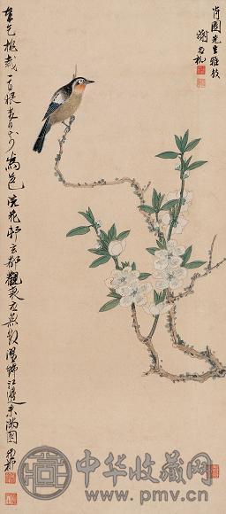 谢稚柳 桃花小鸟 镜心 设色纸本