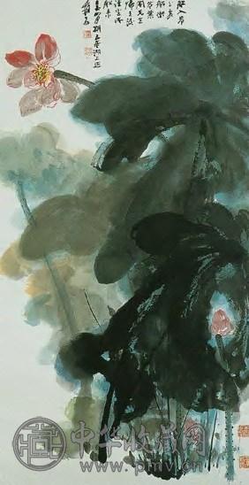 近现代 张大千 荷花 镜心