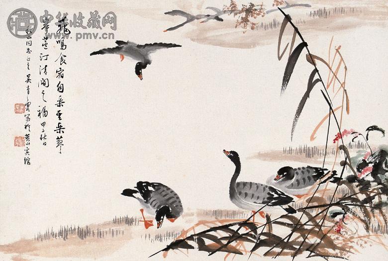 吴青霞 1984年作 鸿雁栖秋 镜心 设色纸本