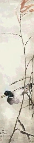 杨善深 苇塘游鸭 轴