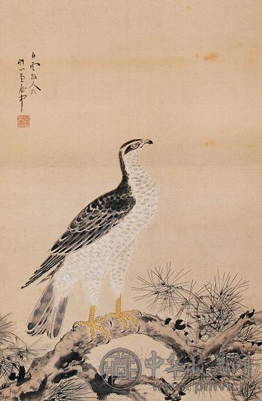 高白云 松鹰 立轴 设色绢本