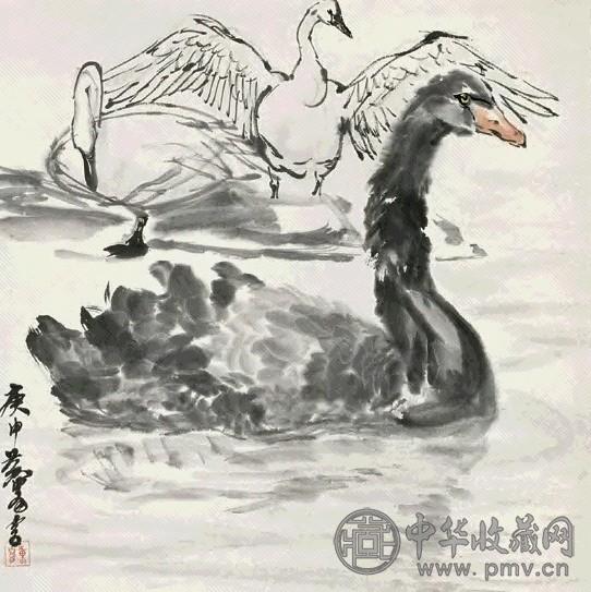 黄冑 1980年作 黑天鹅 镜心 设色纸本