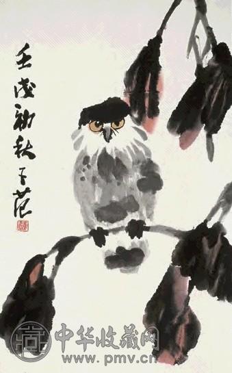 崔子范 猫头鹰 镜心 设色