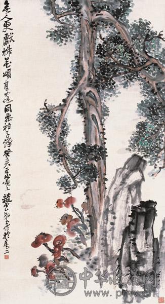 赵云壑 柏年长寿图