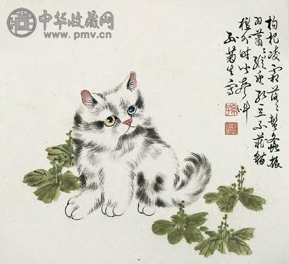 孙菊生 猫 镜心 设色