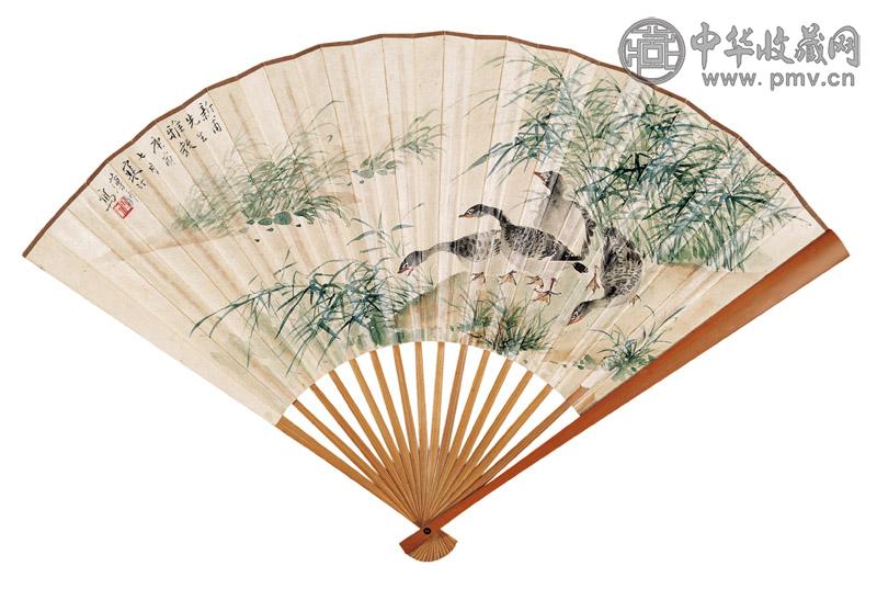 江寒汀 芦荡野鸭 设色纸本